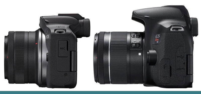 Studio 300 Spotlight: Canon EOS R50